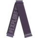 Ремешок COROS 20mm Nylon Band Purple (WAPX2-WB-PUR-N) WAPX2-WB-PUR-N фото